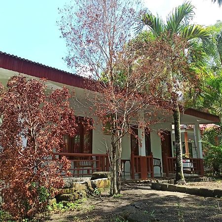 Tangkoko Jungle Homestay Rinondoran Exterior foto