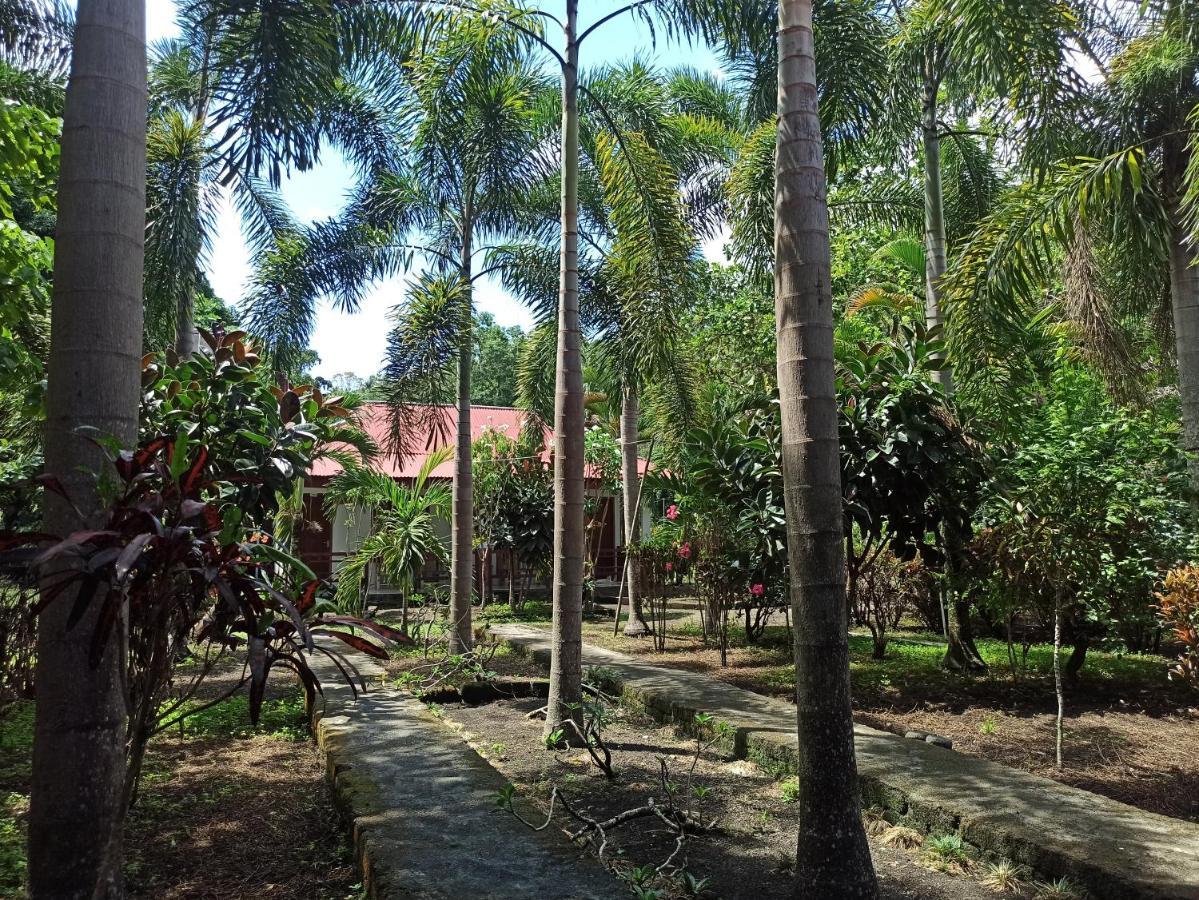 Tangkoko Jungle Homestay Rinondoran Exterior foto